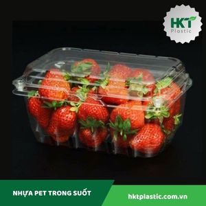 Hộp đựng hoa quả P500B