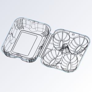 Hộp đựng kiwi P04