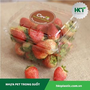 Hộp đựng hoa quả P500D