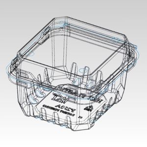 Hộp đựng hoa quả P250A