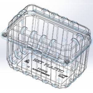 Hộp dựng hoa quả P1000B